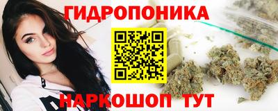 молекула духа Краснознаменск