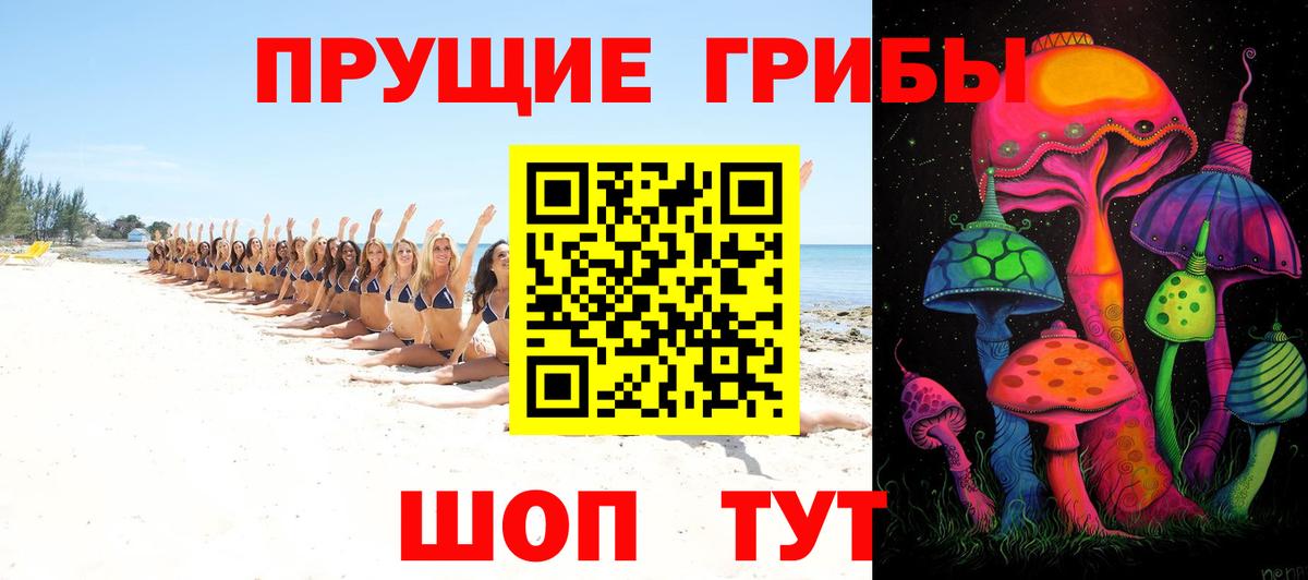 Псилоцибиновые грибы Psilocybe Гусев