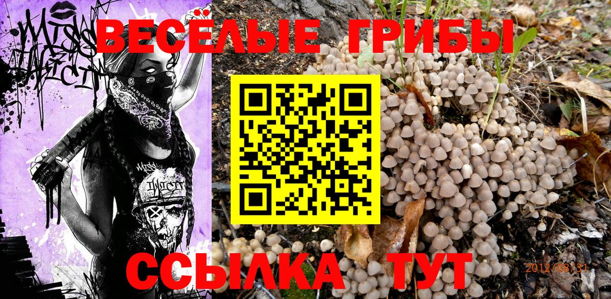 Гусев  Псилоцибиновые грибы Magic Shrooms  закладки  Вход с VPN 